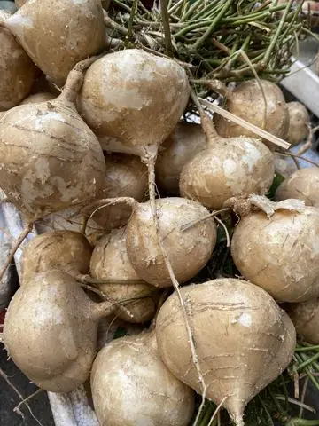 Hình ảnh Củ Đậu ( 1kg)
