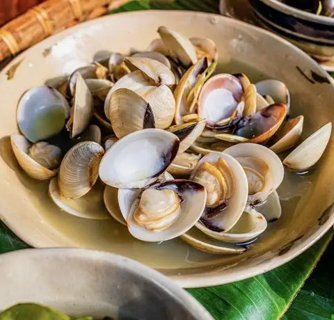 Hình ảnh Ngao hoa
