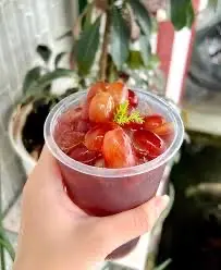 Hình ảnh Trà Nho