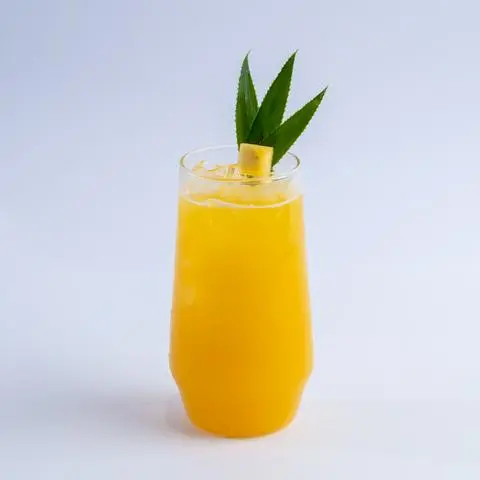 Hình ảnh Nước Ép Dứa