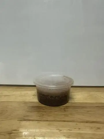 Hình ảnh Mắm Tôm