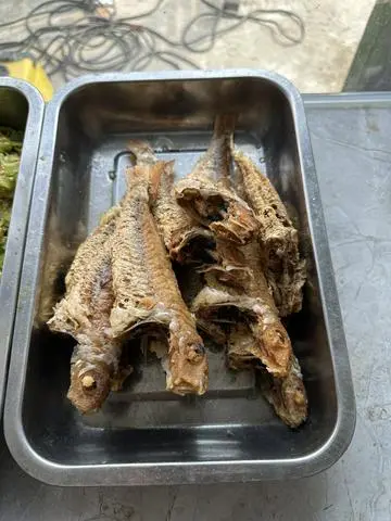 Hình ảnh cá phèn chiên