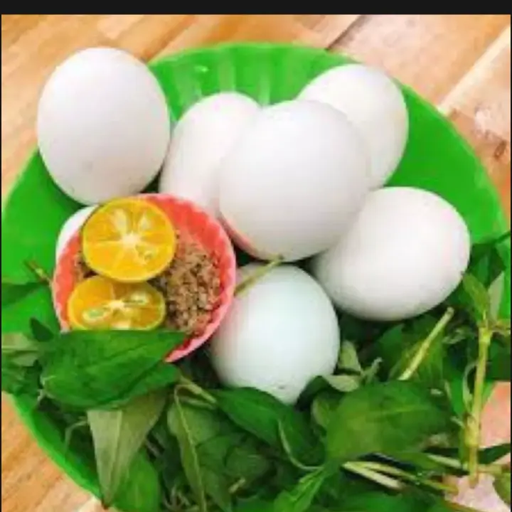 Hình ảnh 5 trứng vịt Dữa nước 