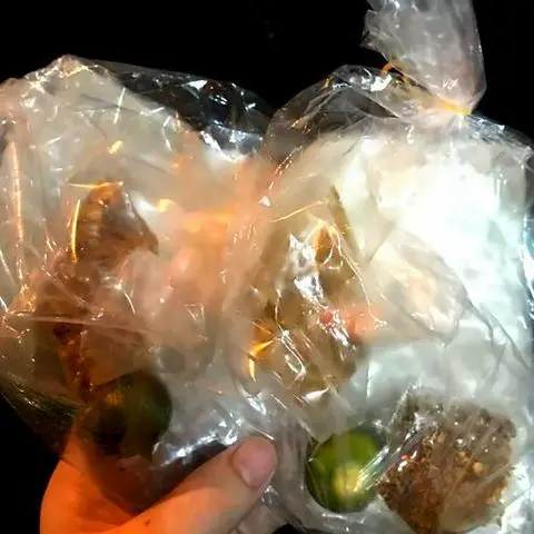 Hình ảnh Bánh tráng tỏi chấm