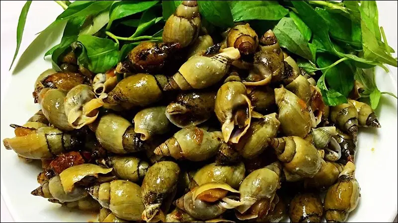 Hình ảnh ốc cà na xào sả mắm tỏi
