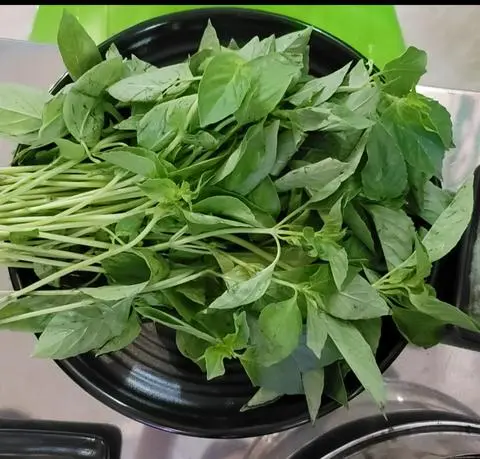 Hình ảnh Lá é phú yên