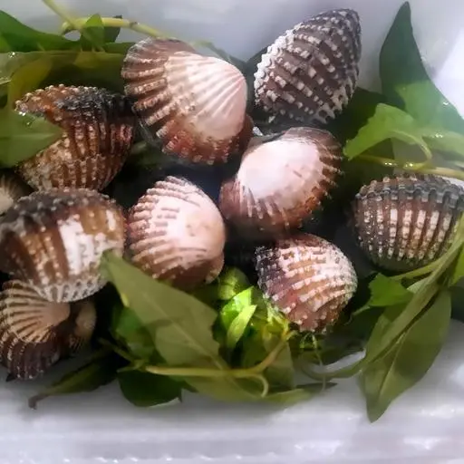 Hình ảnh Huyết Mọi