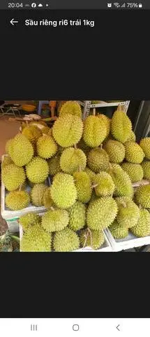 Hình ảnh sầu riêng ri6 trái loại 1 (1kg)