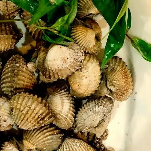 Hình ảnh Sò huyết nướng mọi