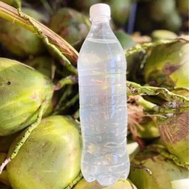 Hình ảnh Nước Dừa Tươi Chai Nữa lít (500ml)