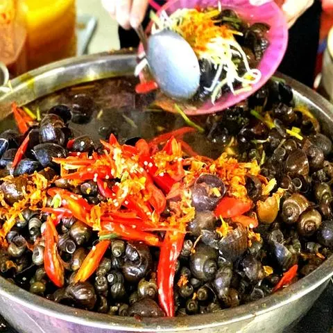 Hình ảnh Ốc hút Quảng Ngãi