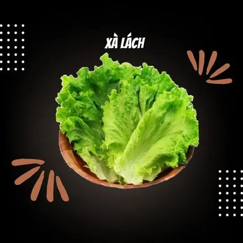 Hình ảnh Salad Xà lách nhiệt đới Simple