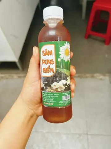 Hình ảnh Sâm Rong Biển 