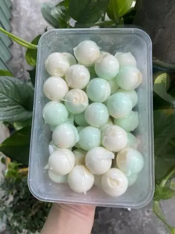 Hình ảnh 3v thạch bi phô mai ( cheese ball)