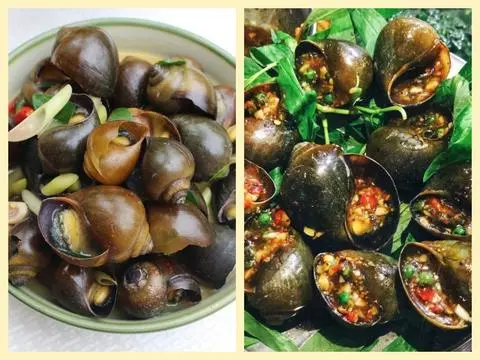 Hình ảnh Ốc Bươu