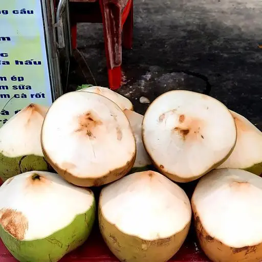 Hình ảnh Dừa Tươi 