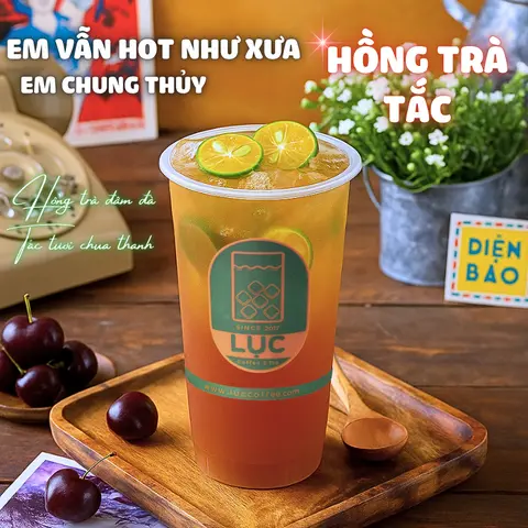 Hình ảnh Hồng Trà Tắc