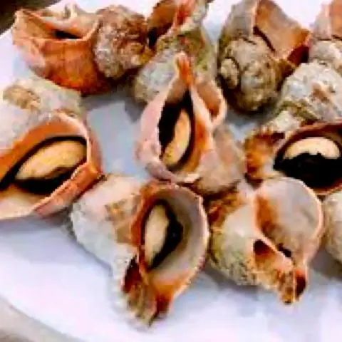 Hình ảnh Ốc miệng rộng nướng mọi