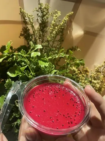 Hình ảnh Panna cotta vị thanh long