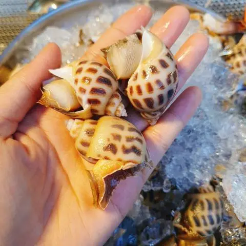 Hình ảnh Ốc hương 1 phần 300gram