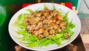 Hình ảnh ốc cana