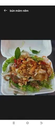 Hình ảnh Combo 2 hộp gỏi đu đủ - 2 hộp bún mắm nêm