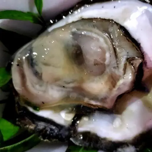 Hình ảnh Hàu nướng mọi (1 Con)