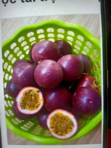 Hình ảnh ép chanh dây tươi 