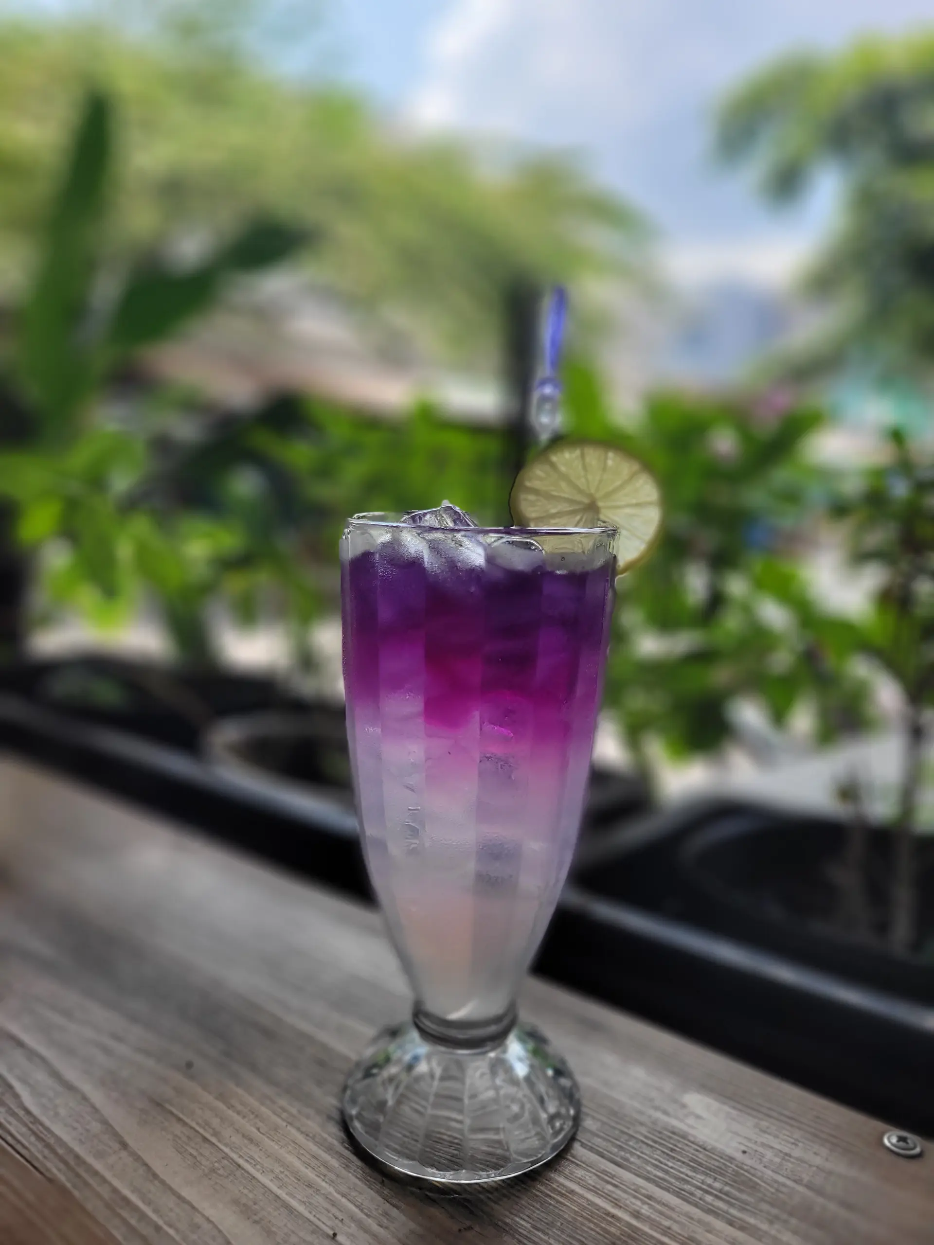 Hình ảnh Chanh diệp hoa