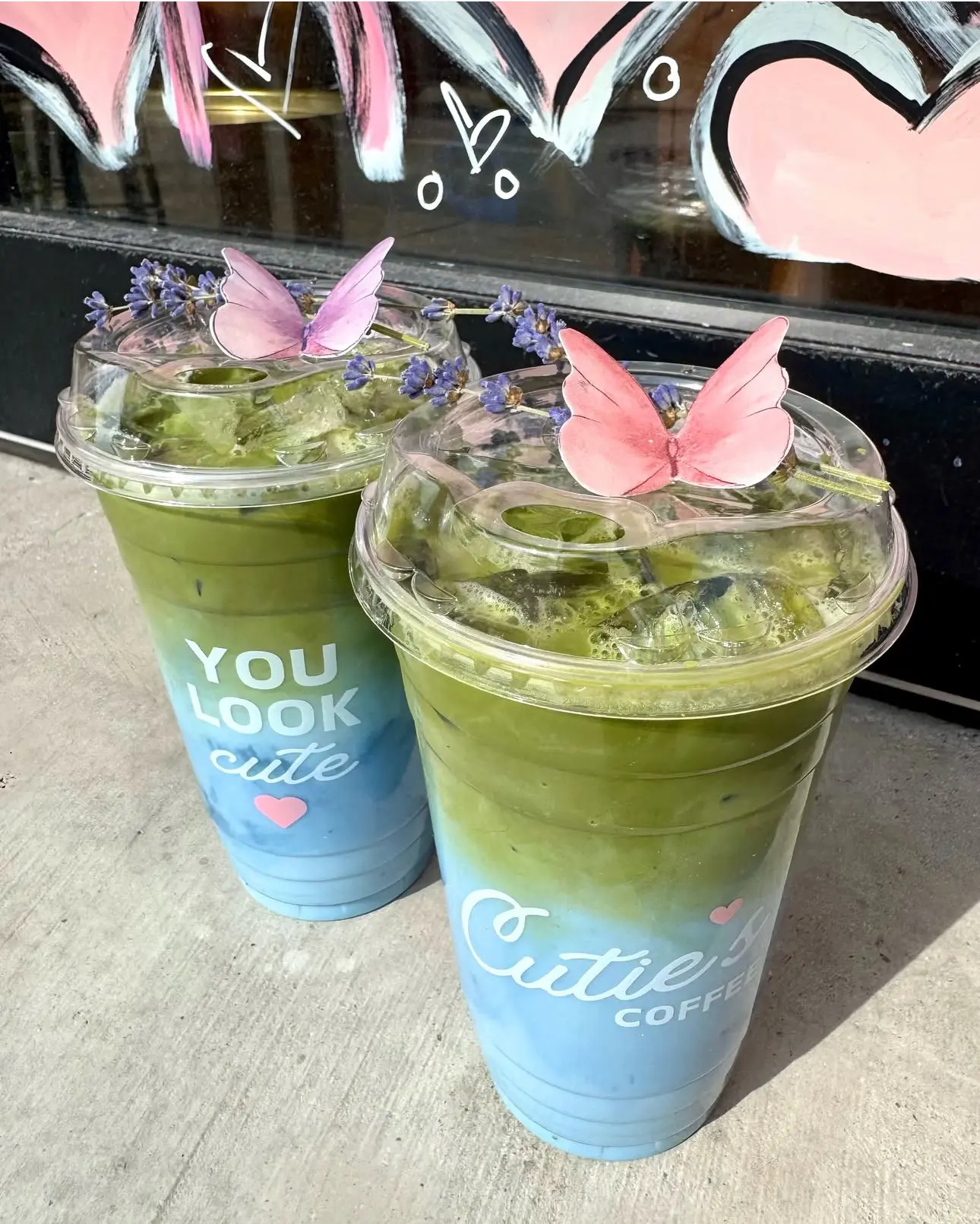 Hình ảnh Matcha Butterfly ( Hoa Đậu Biếc)