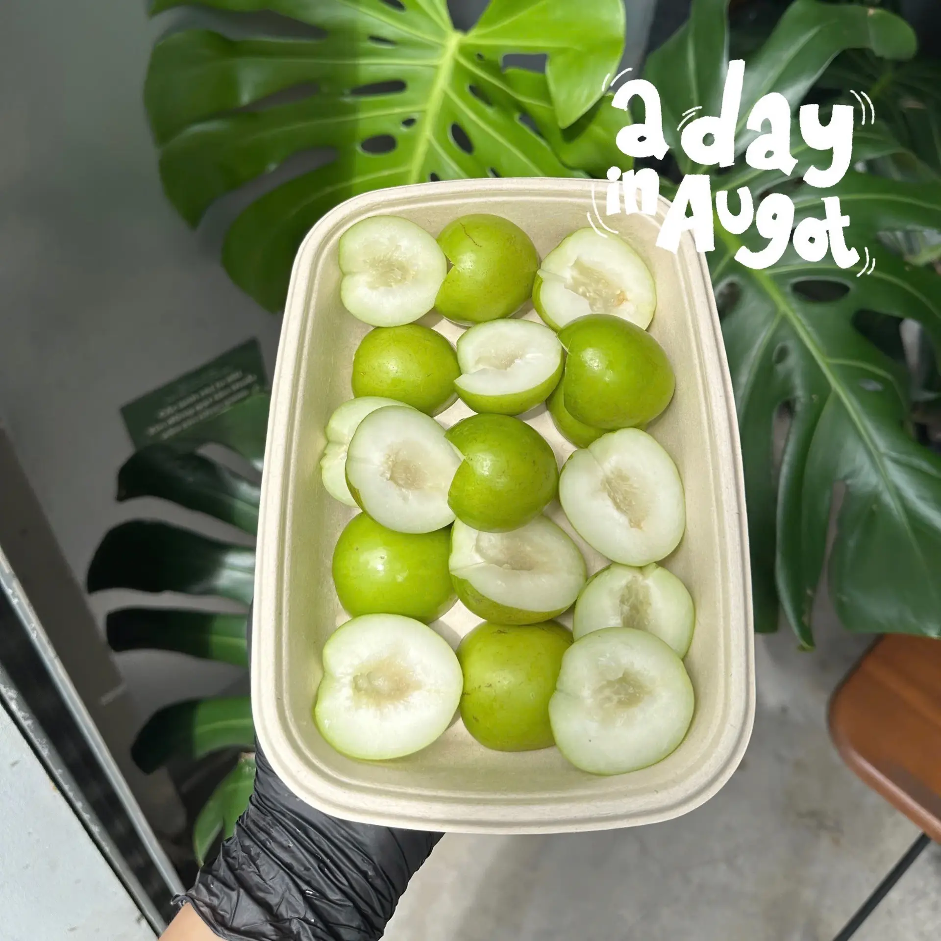 Hình ảnh Táo Xanh - Indian Jujube