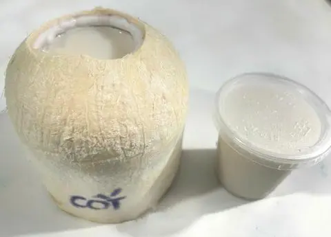 Hình ảnh Rau câu cốt dừa trái
