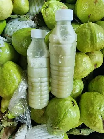 Hình ảnh Ổi Ép Nguên Chất