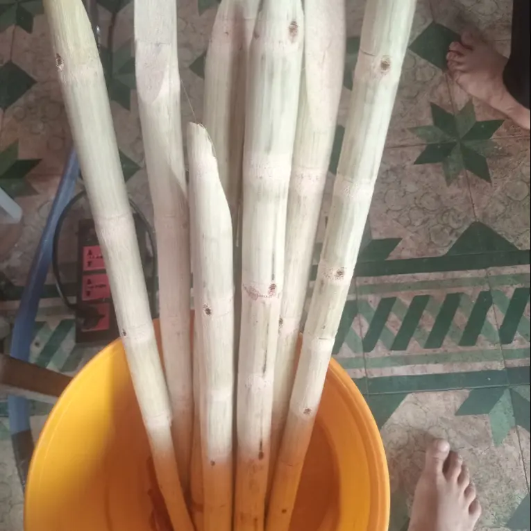 Hình ảnh nước mía 