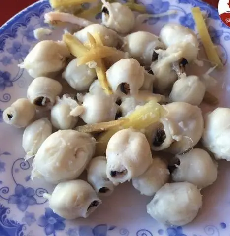Hình ảnh 5 răng mực