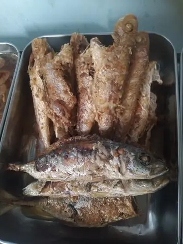 Hình ảnh Ca huong chien