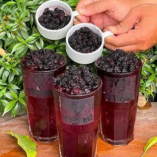 Hình ảnh Trà dâu tằm 
