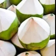 Hình ảnh Dừa 5 trái