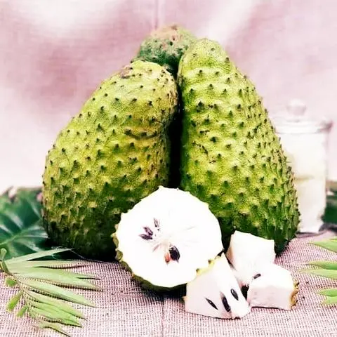 Hình ảnh Trà Mãng Cầu tươi