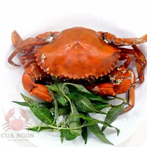 Hình ảnh Cua ngon gạch nướng mọi size nhỏ