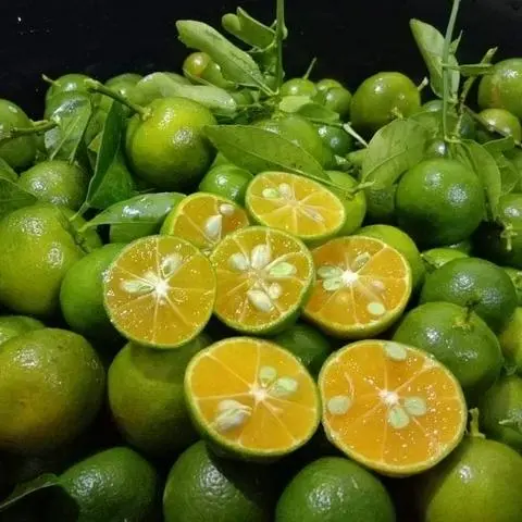 Hình ảnh Trà Tắc