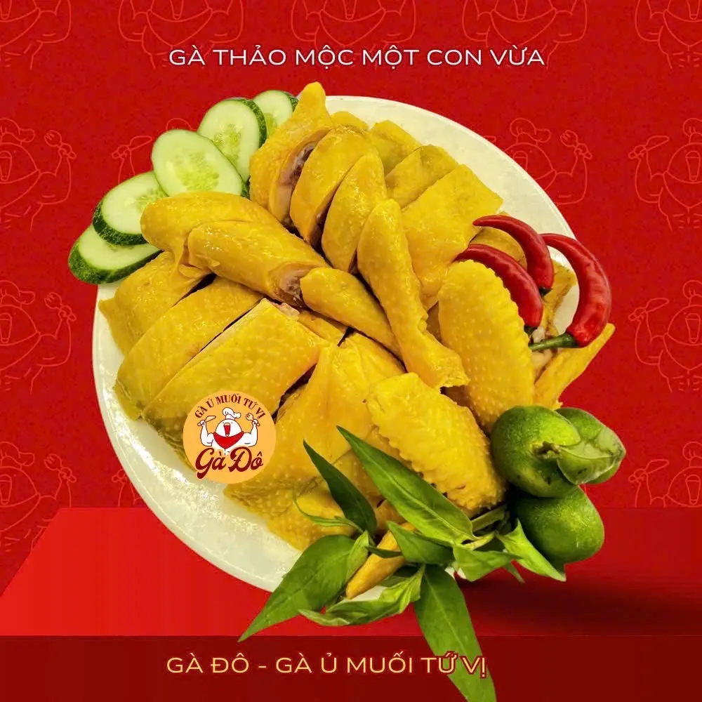 Hình ảnh Gà ủ thảo mộc - Nguyên Con - free đồ chấm