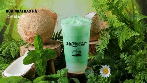 Hình ảnh DỪA NHÀI BẠC HÀ