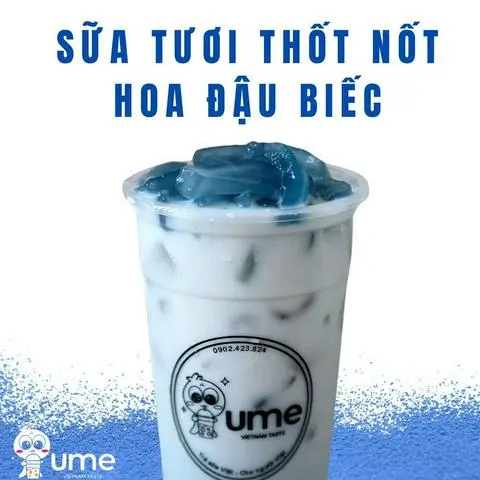 Hình ảnh Sữa tươi thốt nốt hoa đậu biếc (Special)