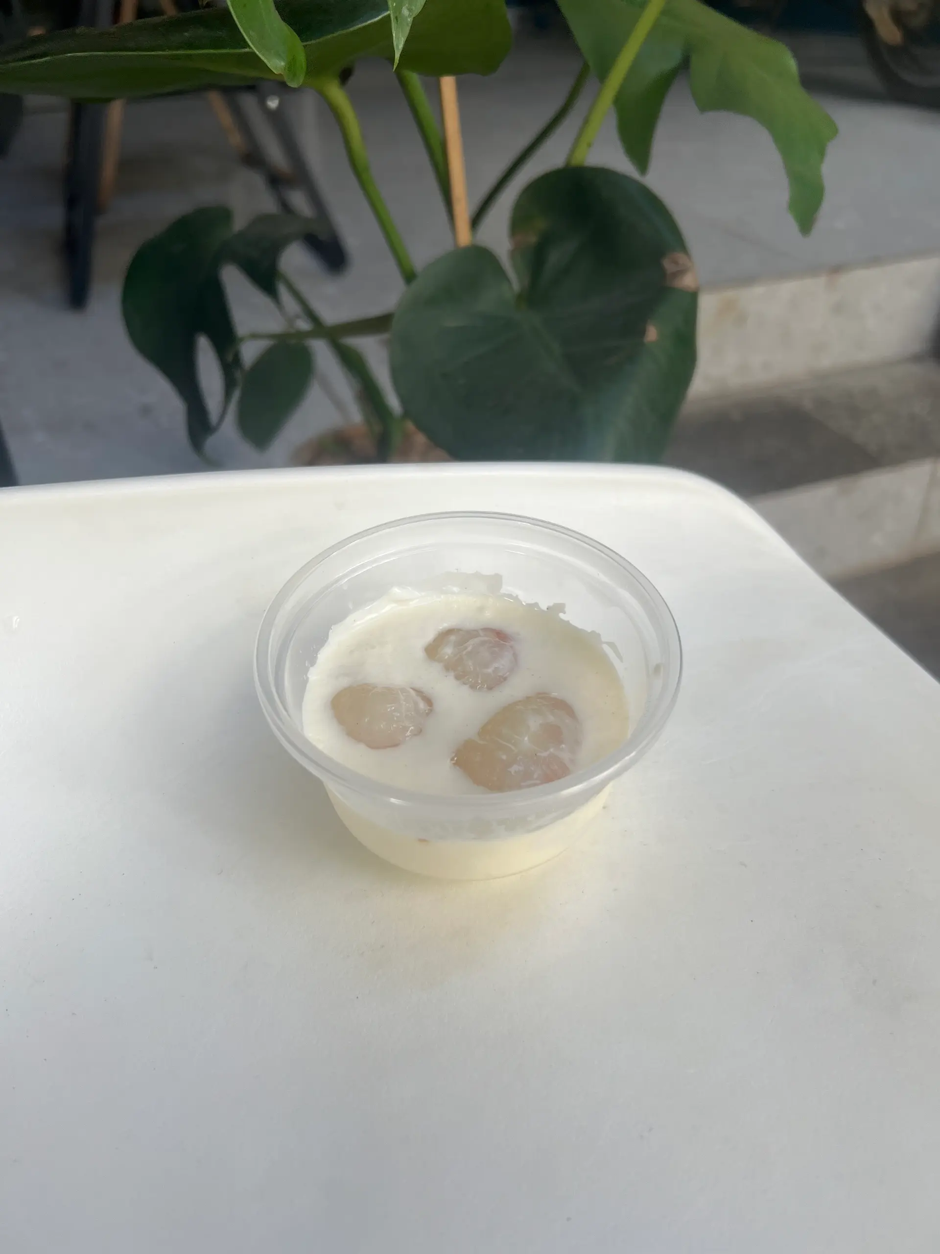 Hình ảnh Khúc Bạch Vải