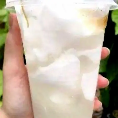 Hình ảnh Dừa ly khổng lồ