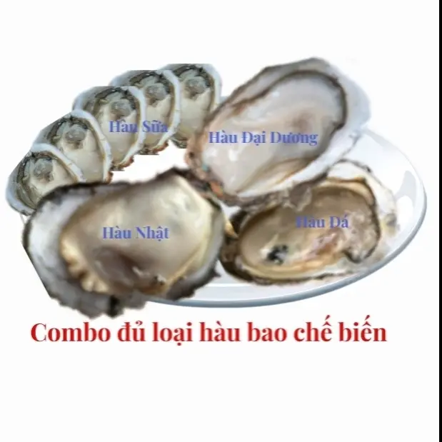 Hình ảnh Combo 4 loại hàu nướng(Hôm nay thay hàu Nhật = hàu Đại Dương)