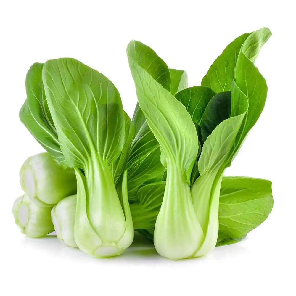 Hình ảnh cải thìa