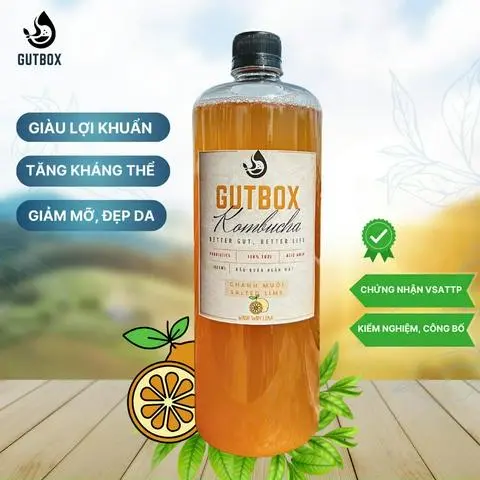 Hình ảnh 1 LÍT KOMBUCHA CHANH MUỐI (Salt Lime)