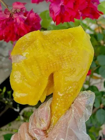 Hình ảnh 2 cái Má ĐÙI GÀ Ta ủ muối 